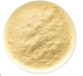 Yeast Cell Wall