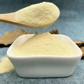 Yeast Protein