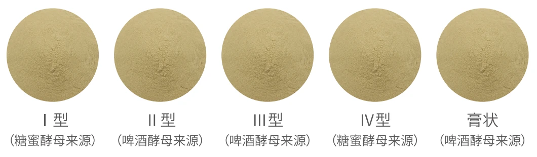 product-1060-311 product-1060-311